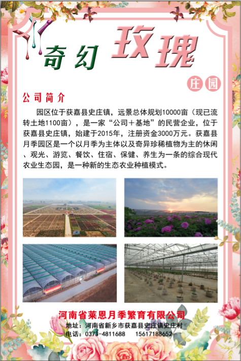 河南省莱恩月季繁育有限公司